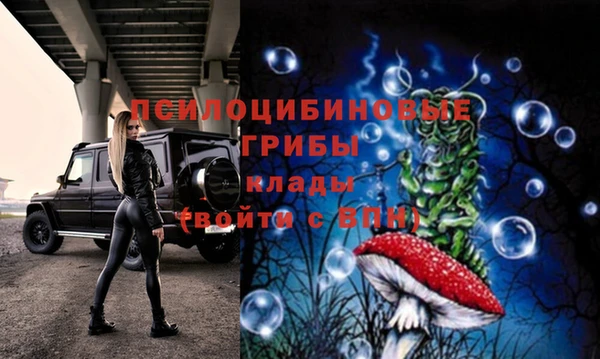а пвп мука Козельск
