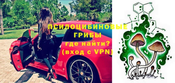 mdpv Козловка